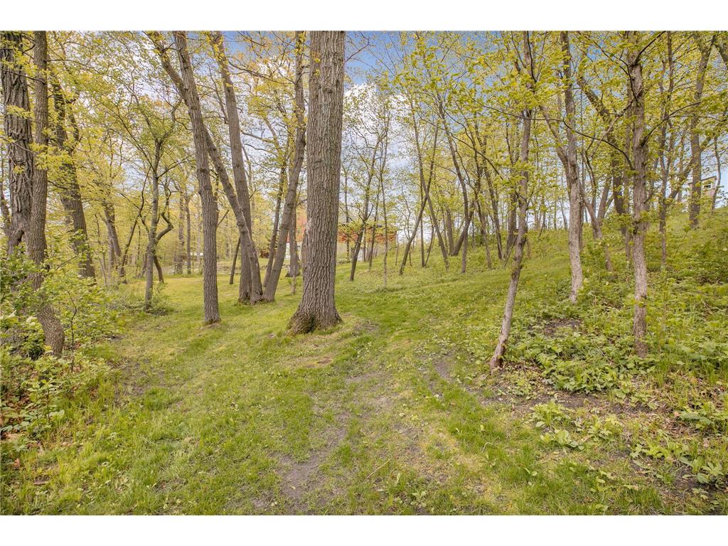 44433 Brick Yard Road Sauk Centre Twp MN 56378 - Sauk 7074037 image42
