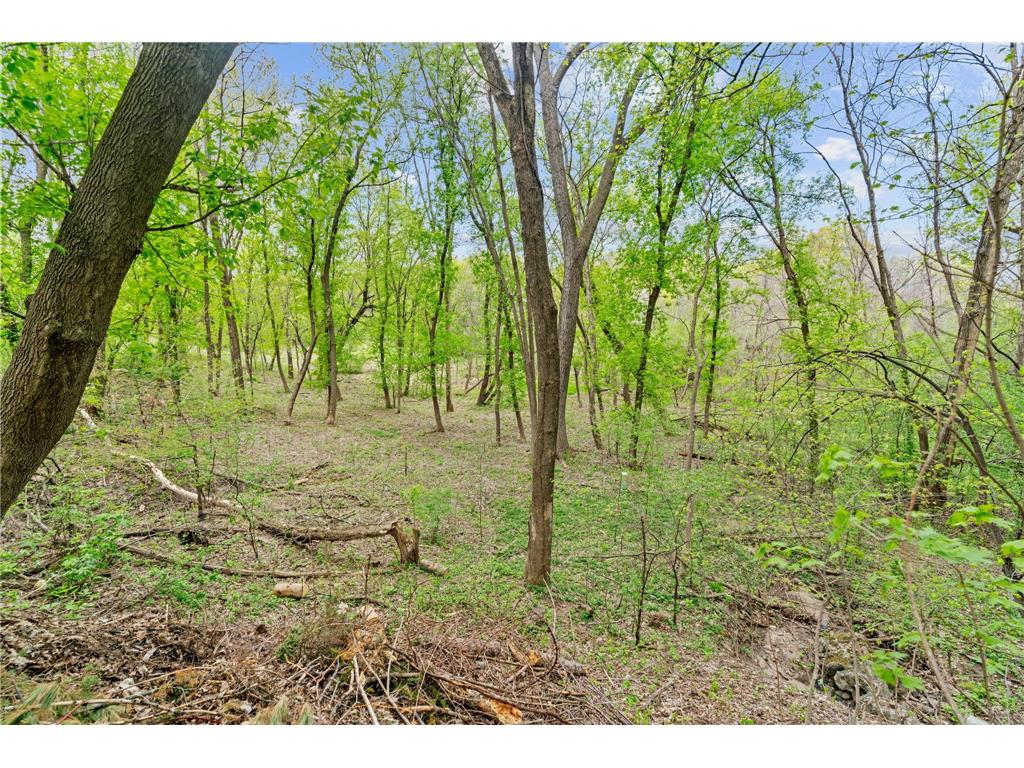 445 Bovey Road Wayzata MN 55391 7028949 image10
