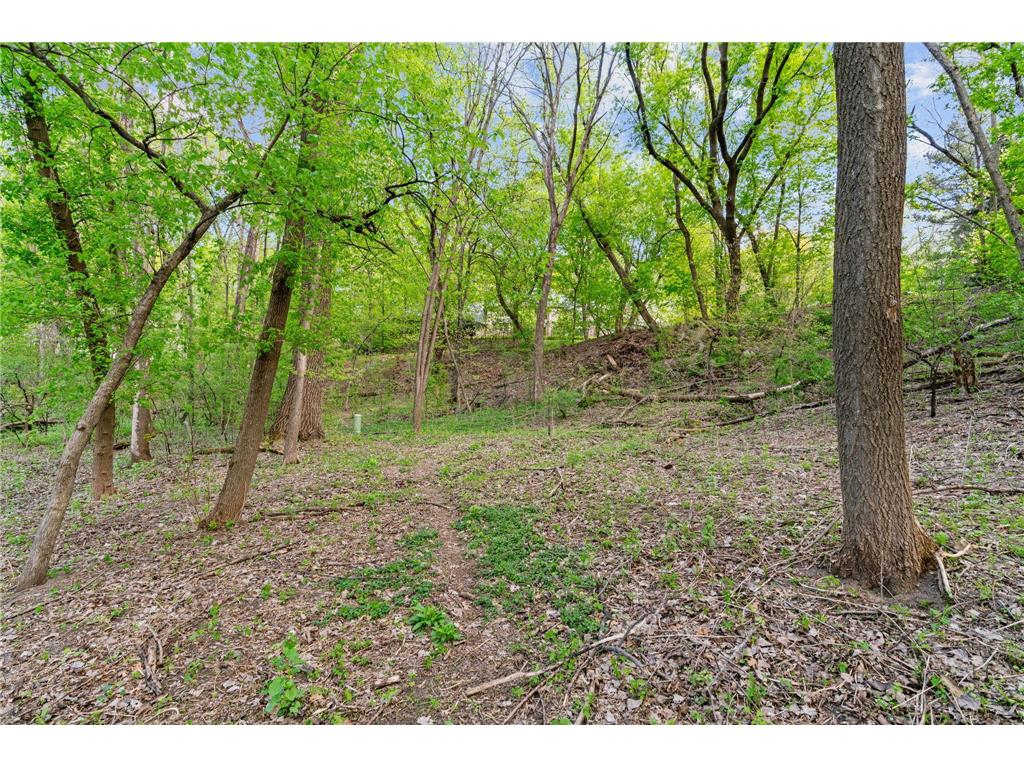 445 Bovey Road Wayzata MN 55391 7028949 image11