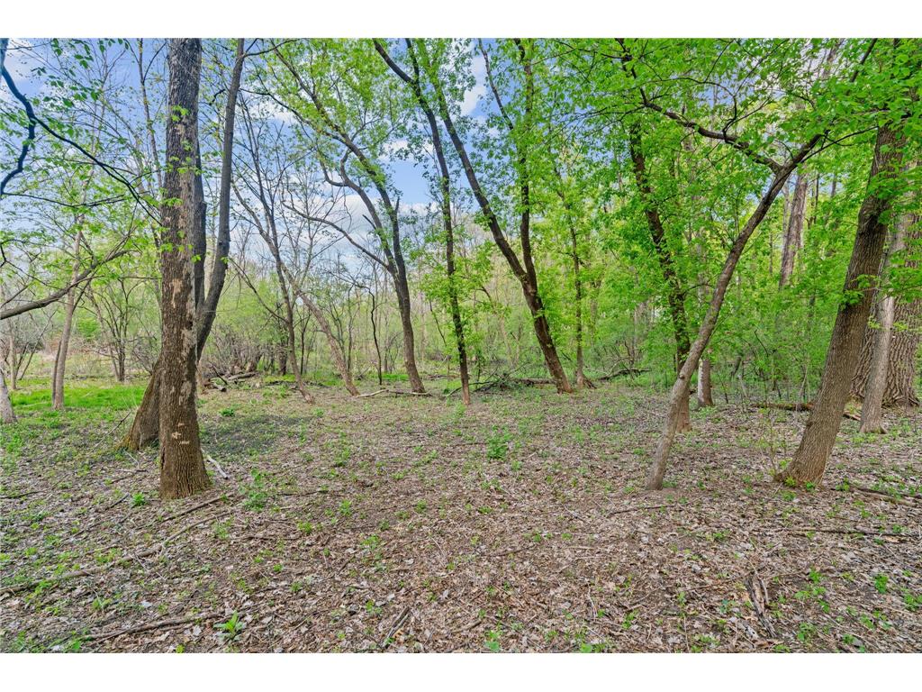 445 Bovey Road Wayzata MN 55391 7028949 image12