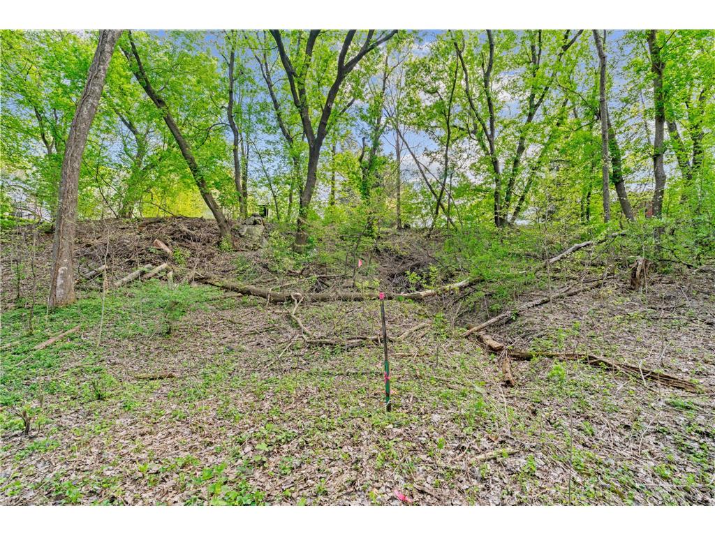 445 Bovey Road Wayzata MN 55391 7028949 image13