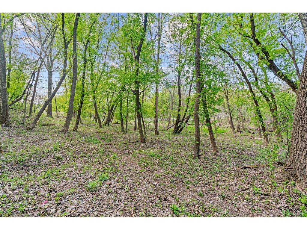445 Bovey Road Wayzata MN 55391 7028949 image14