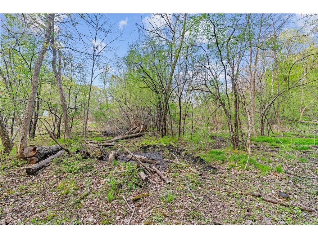 445 Bovey Road Wayzata MN 55391 7028949 image15