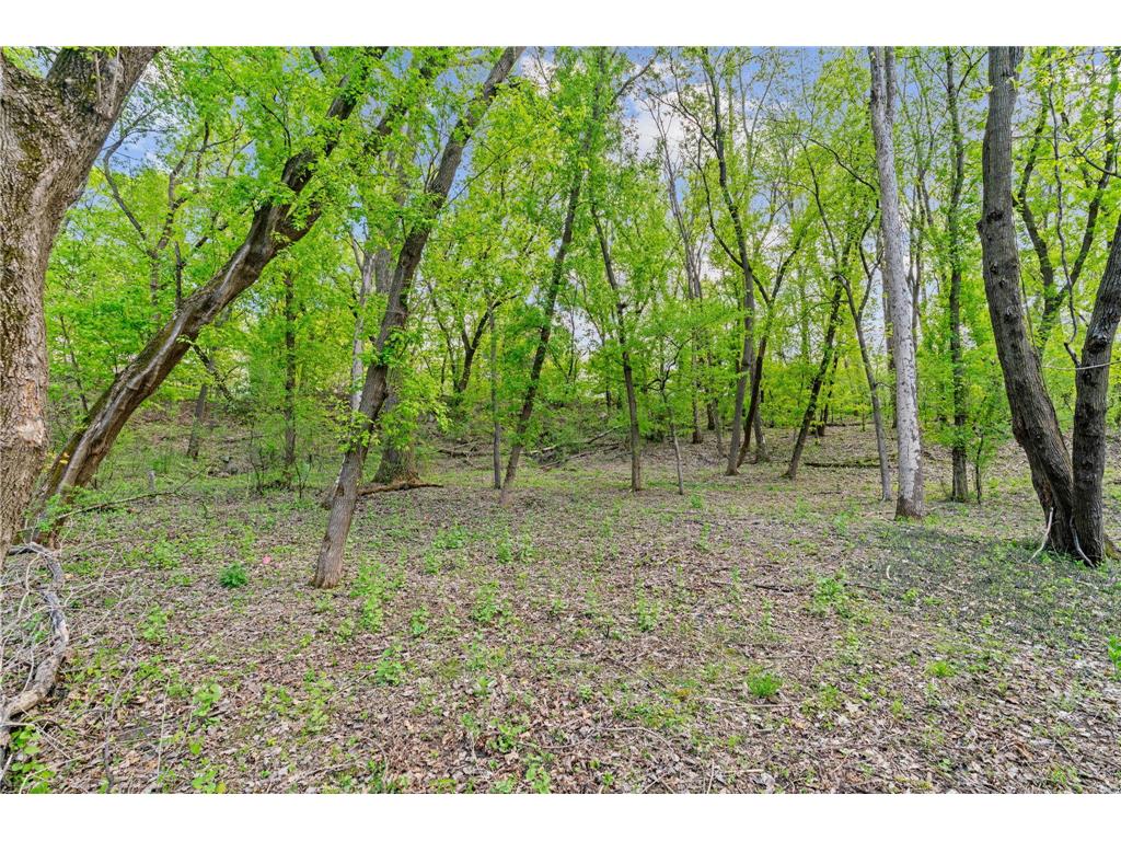 445 Bovey Road Wayzata MN 55391 7028949 image16