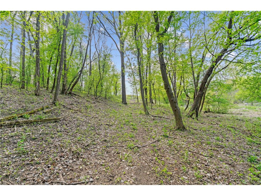 445 Bovey Road Wayzata MN 55391 7028949 image17