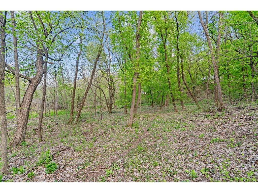 445 Bovey Road Wayzata MN 55391 7028949 image18