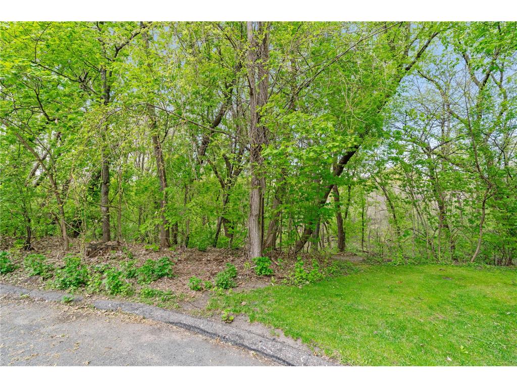 445 Bovey Road Wayzata MN 55391 7028949 image2
