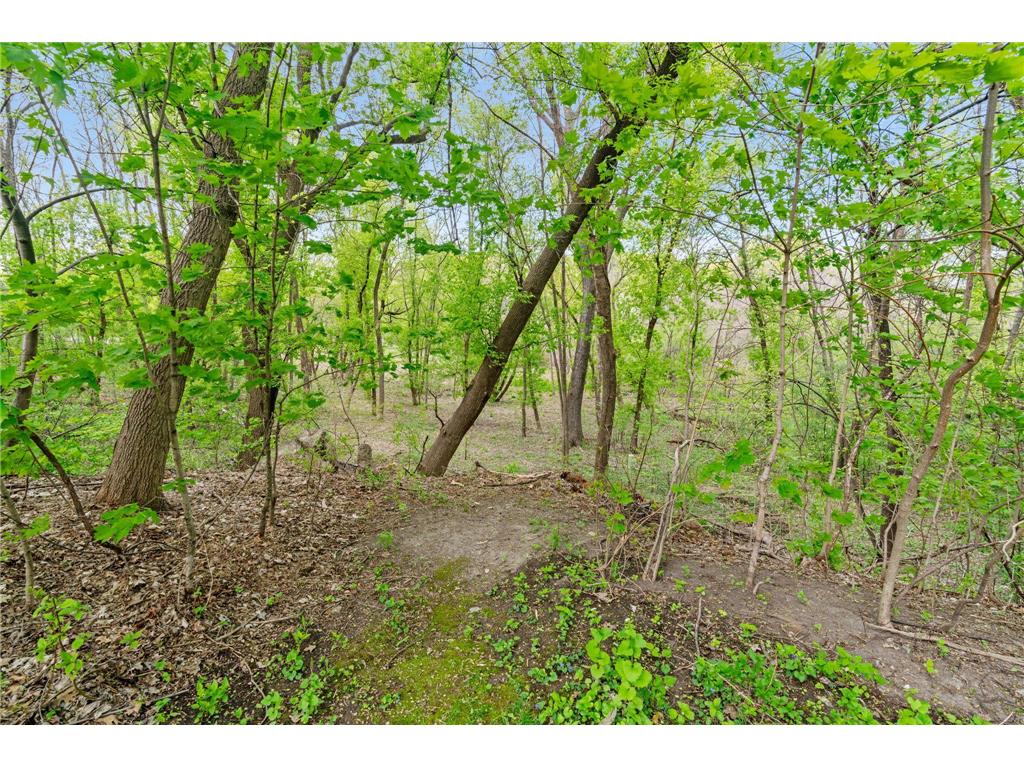 445 Bovey Road Wayzata MN 55391 7028949 image5