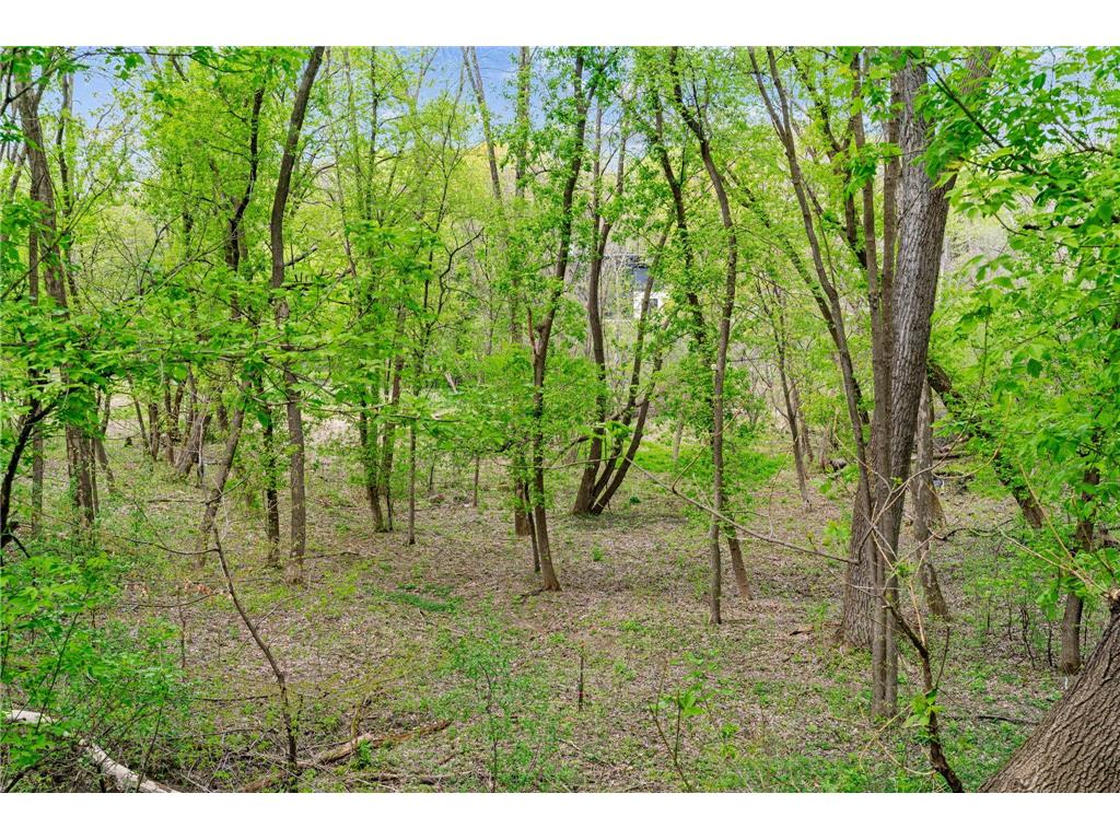 445 Bovey Road Wayzata MN 55391 7028949 image7