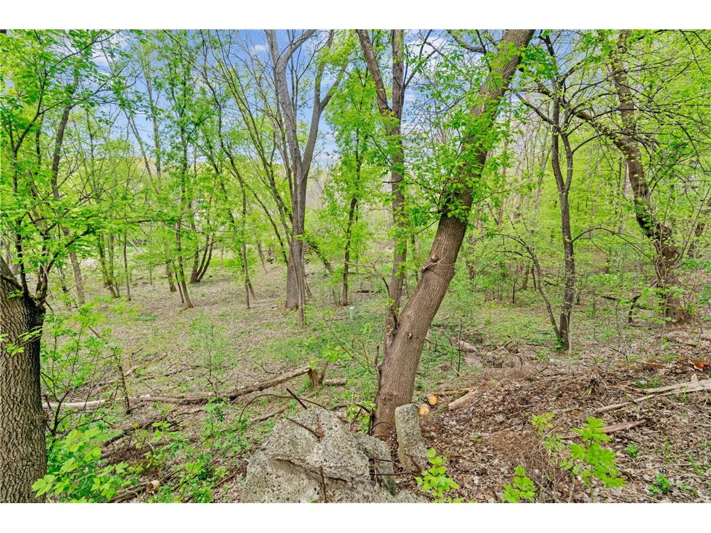 445 Bovey Road Wayzata MN 55391 7028949 image8