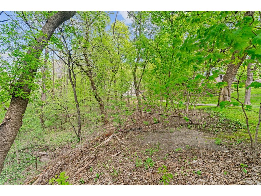 445 Bovey Road Wayzata MN 55391 7028949 image9