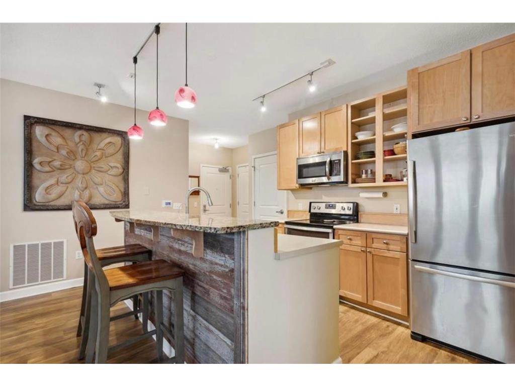 445 Wacouta Street #113 Saint Paul MN 55101 6643264 image1