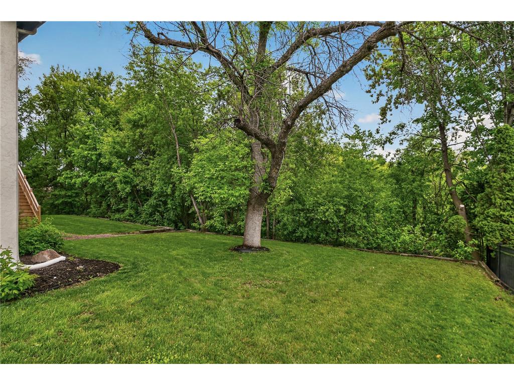 4450 Norwood Lane N Plymouth MN 55442 7036675 image65