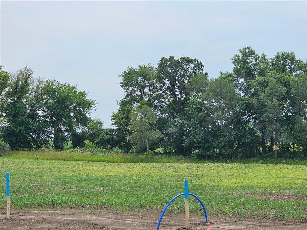 4455 Pagenhart Road SW Rochester MN 55902 6404564 image2