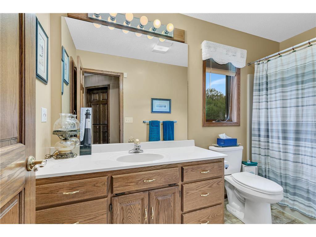 4457 Farmdale Circle Saint Augusta MN 56301 7073577 image27