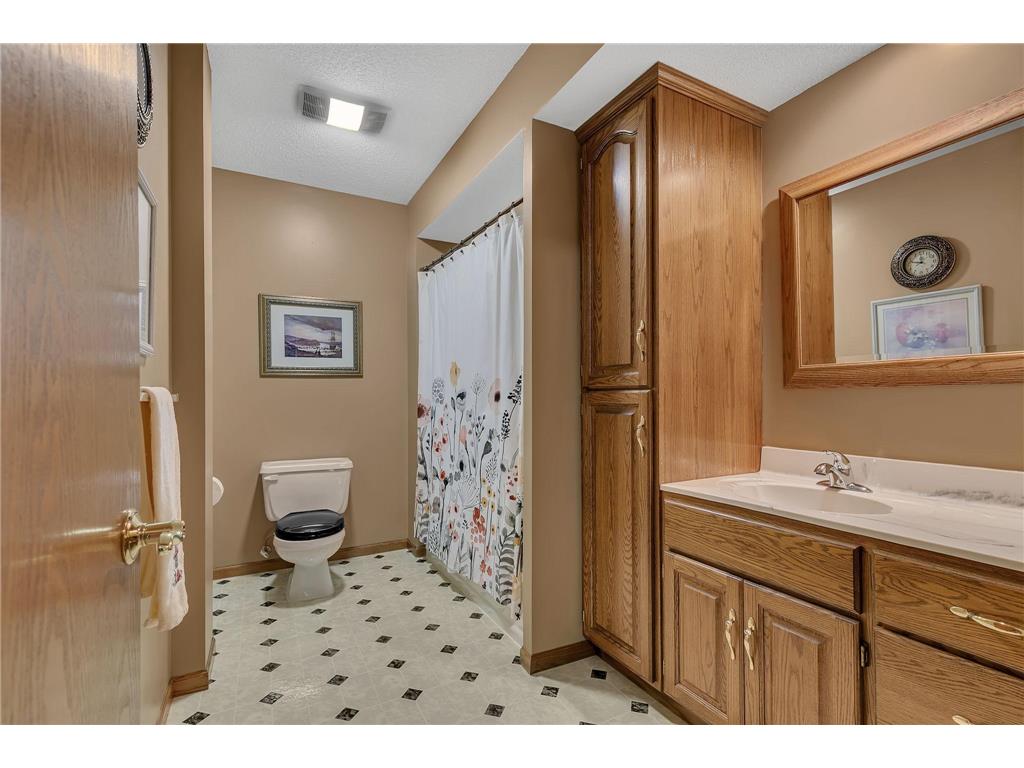 4457 Farmdale Circle Saint Augusta MN 56301 7073577 image28