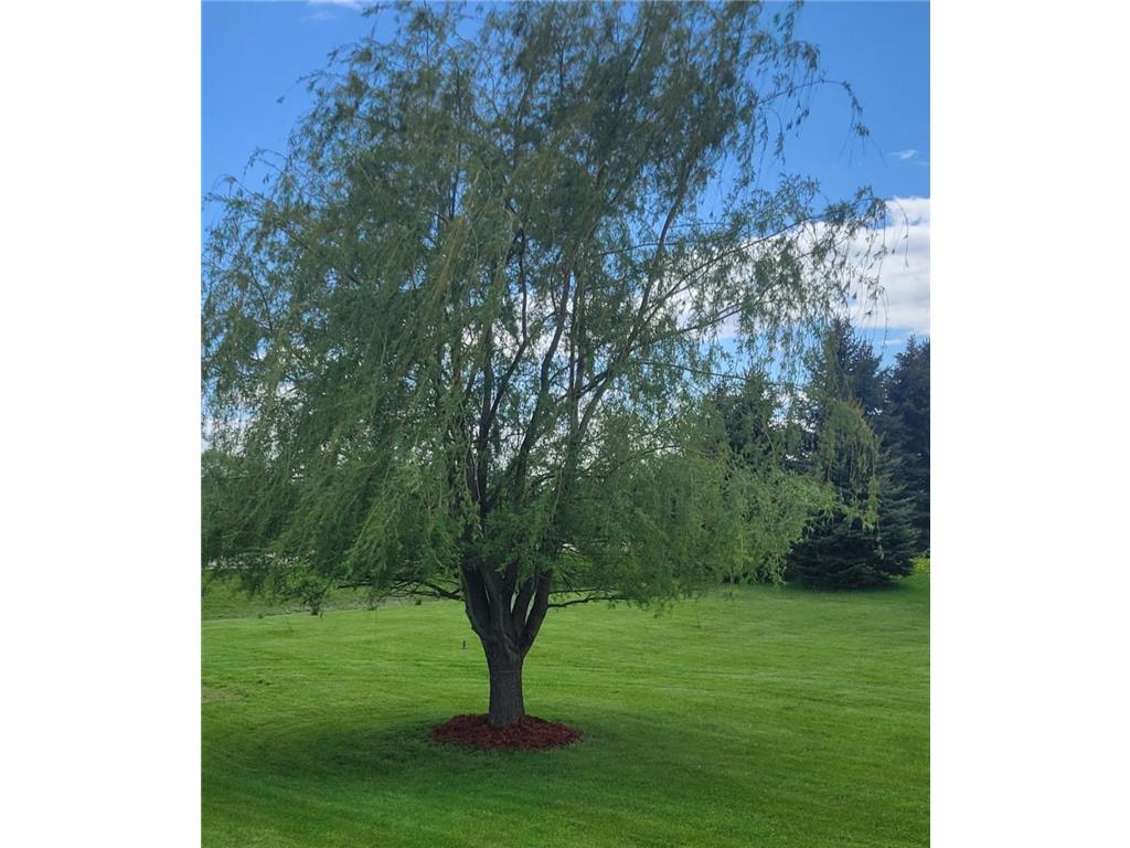 4457 Roberds Lake Trail, Wells Twp, MN, 55021 MLS 6517995 Edina Realty