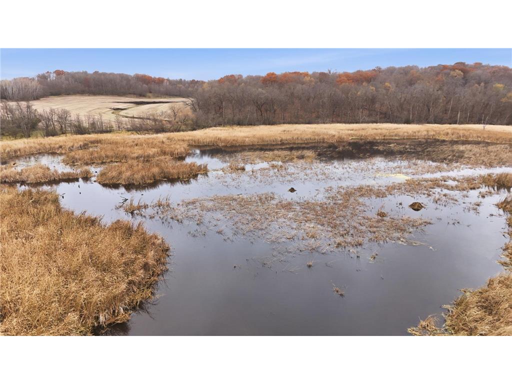 446 72nd Street NW Buffalo MN 55313 6813800 image19