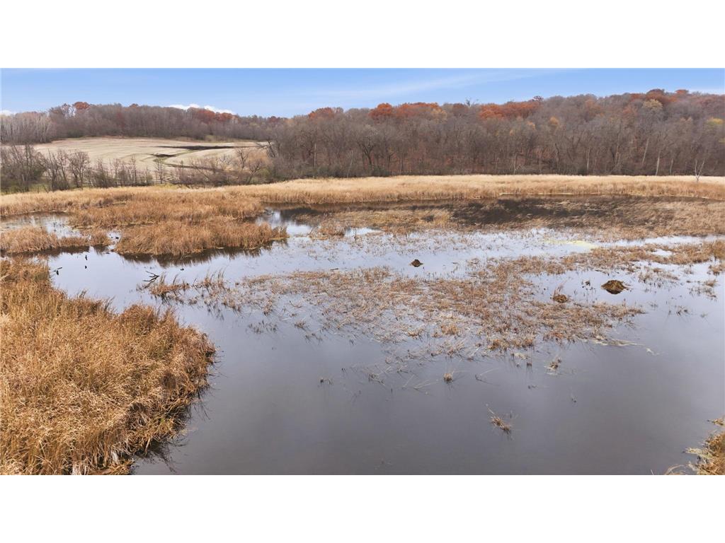 446 72nd Street NW Buffalo MN 55313 6813800 image20