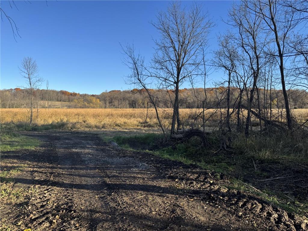 446 72nd Street NW Buffalo MN 55313 6813800 image7