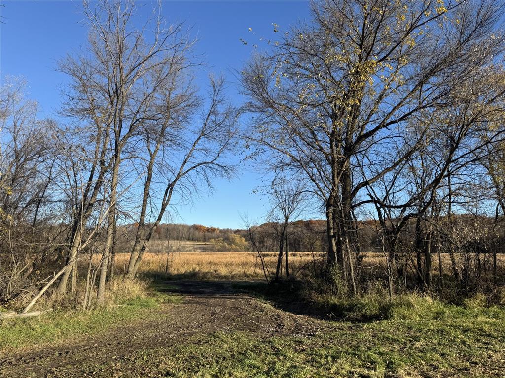 446 72nd Street NW Buffalo MN 55313 6813800 image9