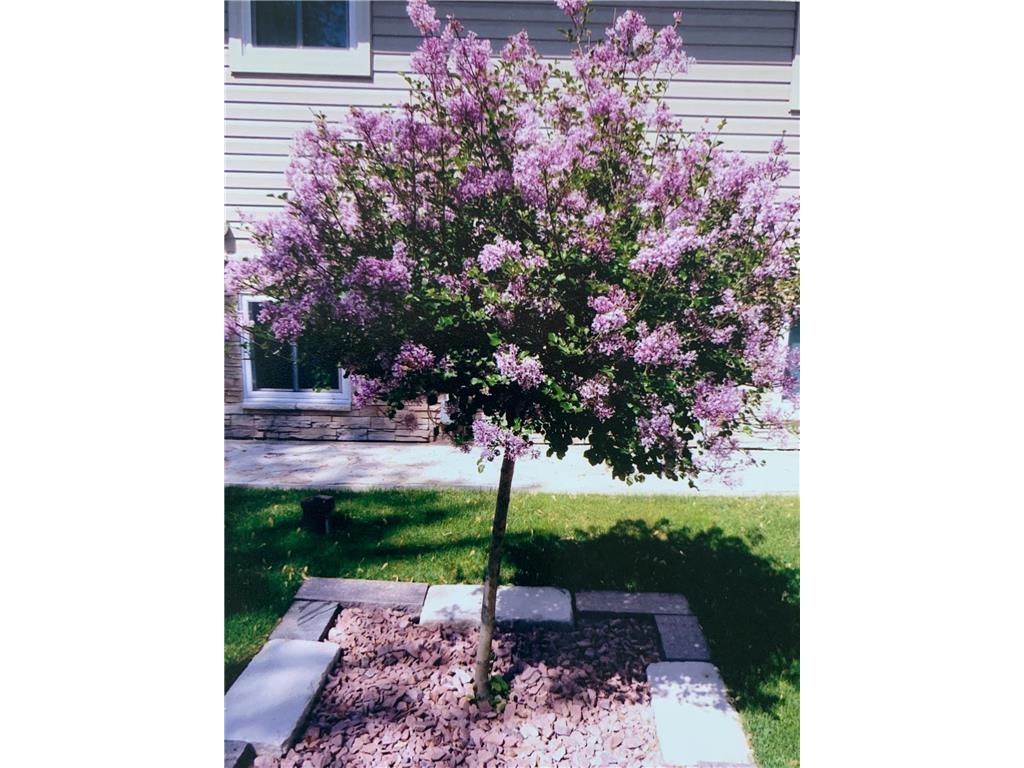 446 Hawes Avenue Vadnais Heights MN 55127 7071698 image34