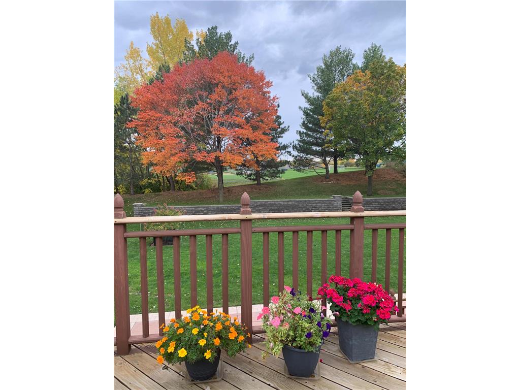 446 Hawes Avenue Vadnais Heights MN 55127 7071698 image36