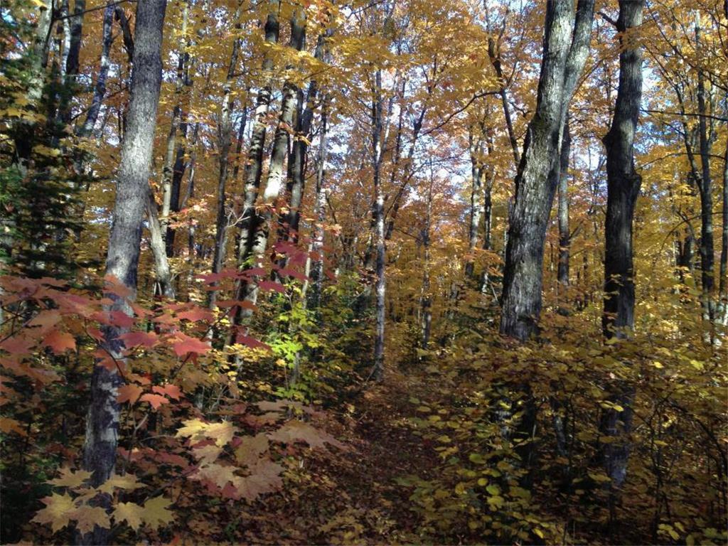 446 Stewart Lake Road Two Harbors Unorg. Terr. MN 55616 - Stewart 6616268 image4