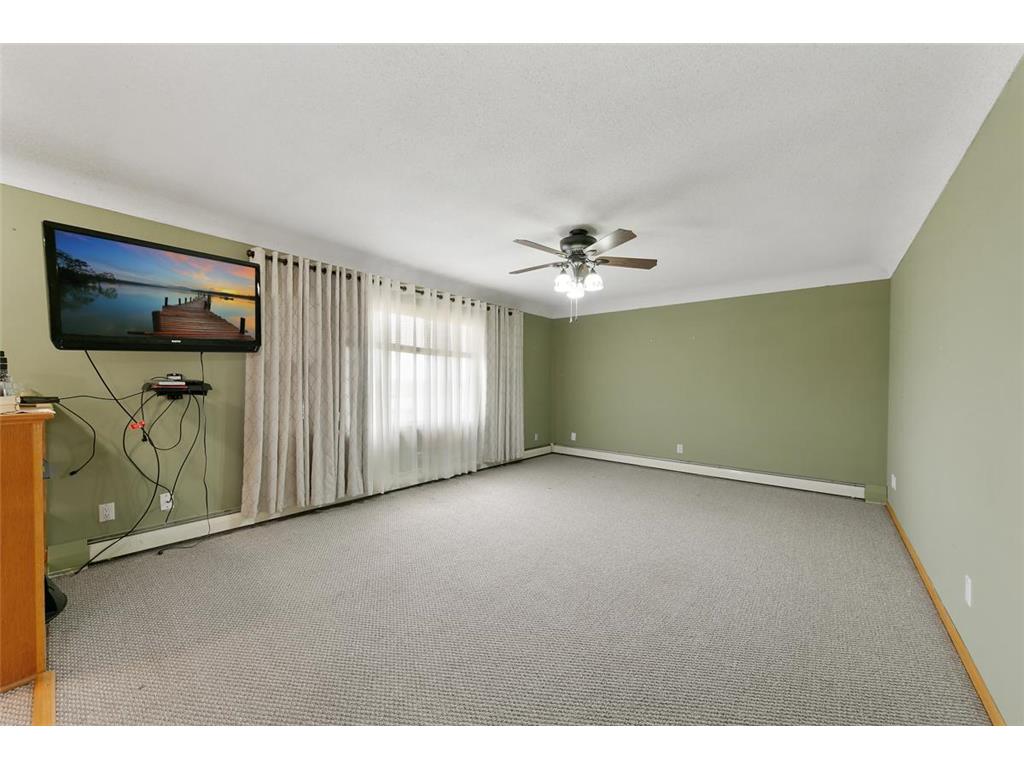 44650 State Highway 19 Gaylord MN 55334 6819554 image14