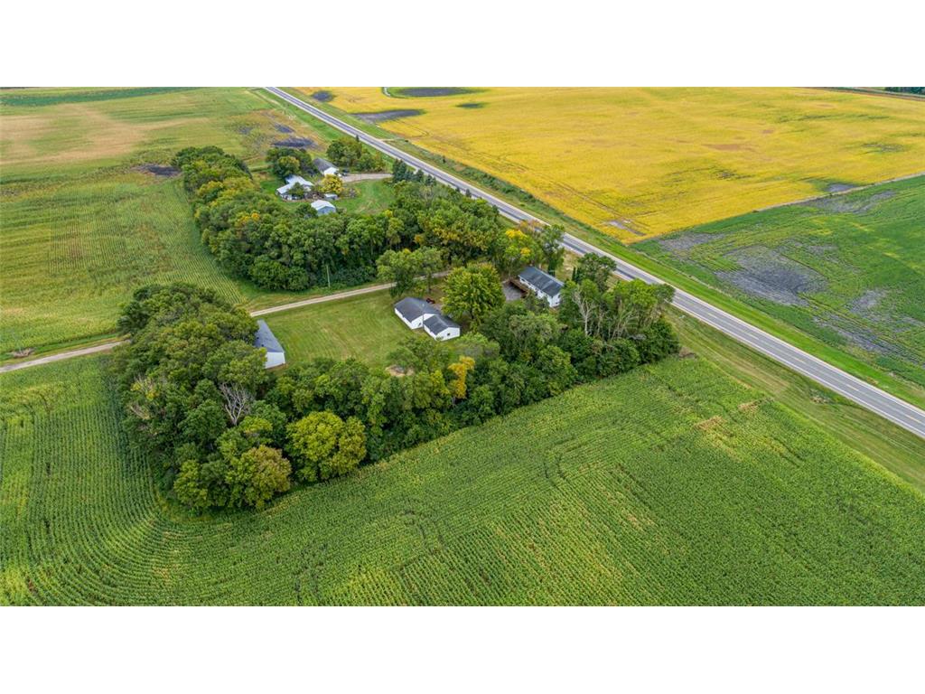 44650 State Highway 19 Gaylord MN 55334 6819554 image43