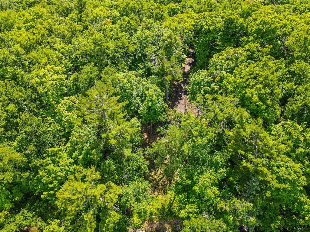 44698 Idas Road Osage MN 56570 - Shell 7105331 image15