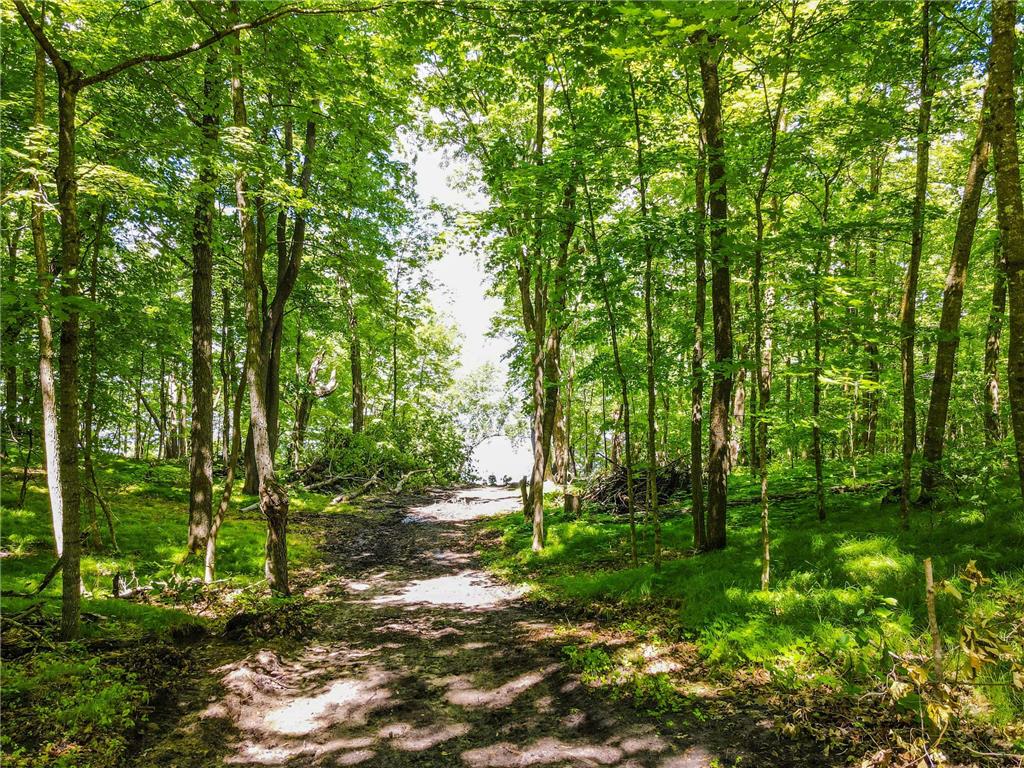44698 Idas Road Osage MN 56570 - Shell 7105331 image17