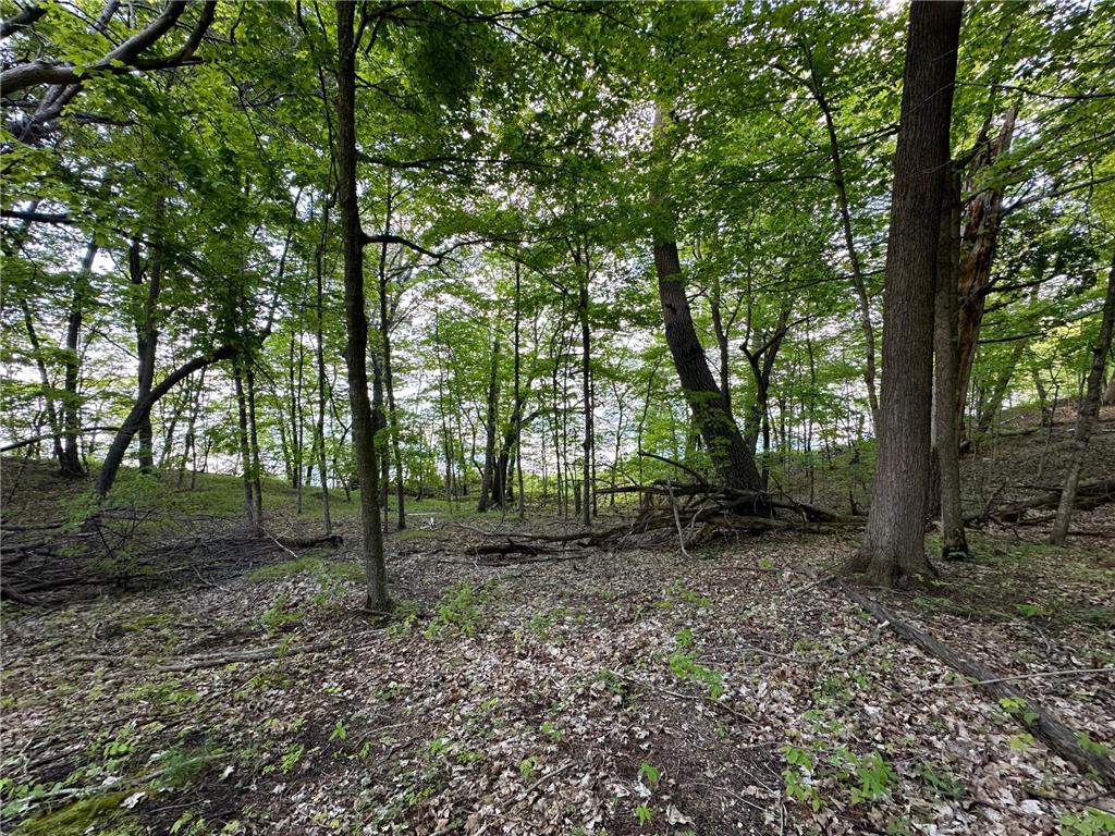 44698 Idas Road Shell Lake Twp MN 56570 - Shell 6726537 image11