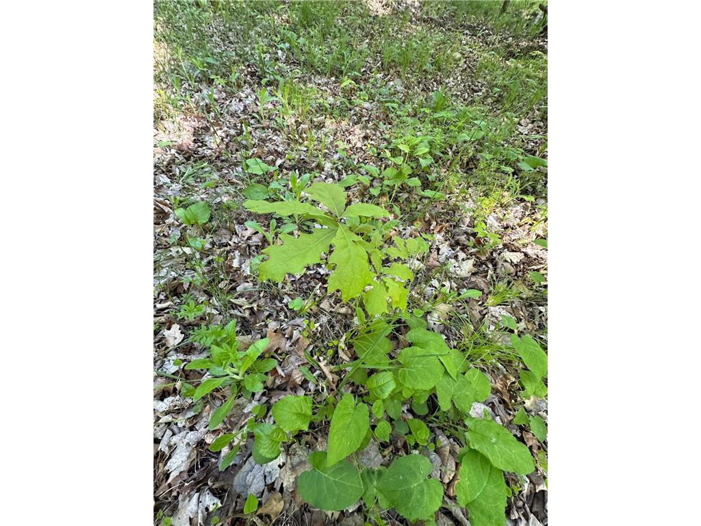 44698 Idas Road Shell Lake Twp MN 56570 - Shell 6726537 image12