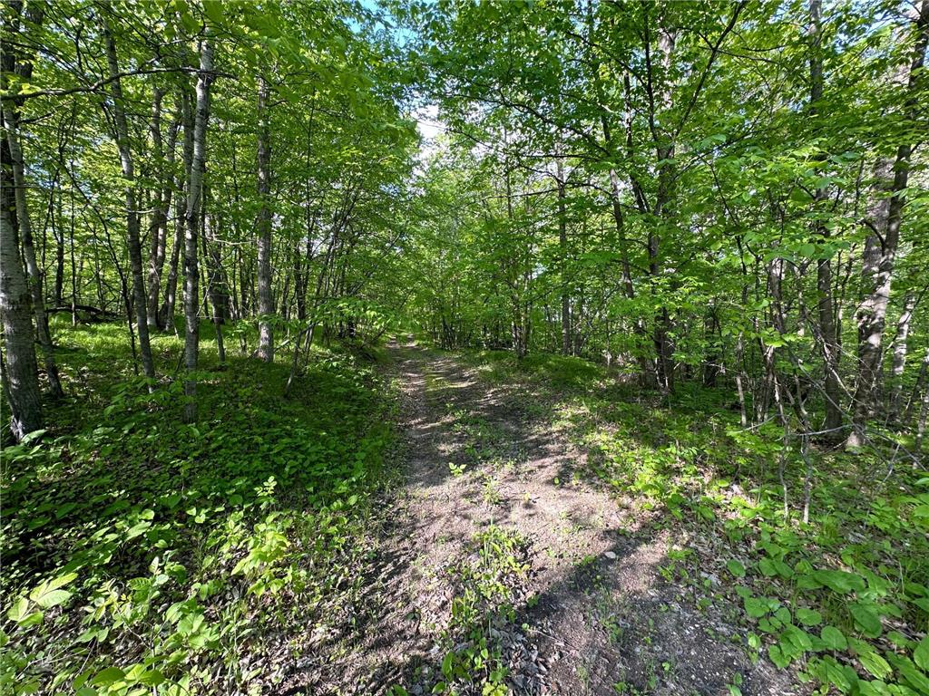 44698 Idas Road Shell Lake Twp MN 56570 - Shell 6726537 image2