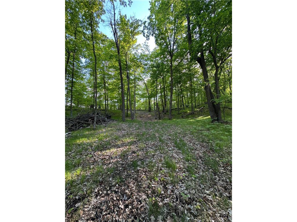 44698 Idas Road Shell Lake Twp MN 56570 - Shell 6726537 image4