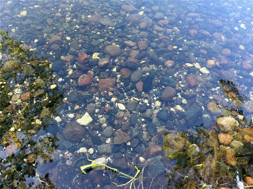 44698 Idas Road Shell Lake Twp MN 56570 - Shell 6726537 image7