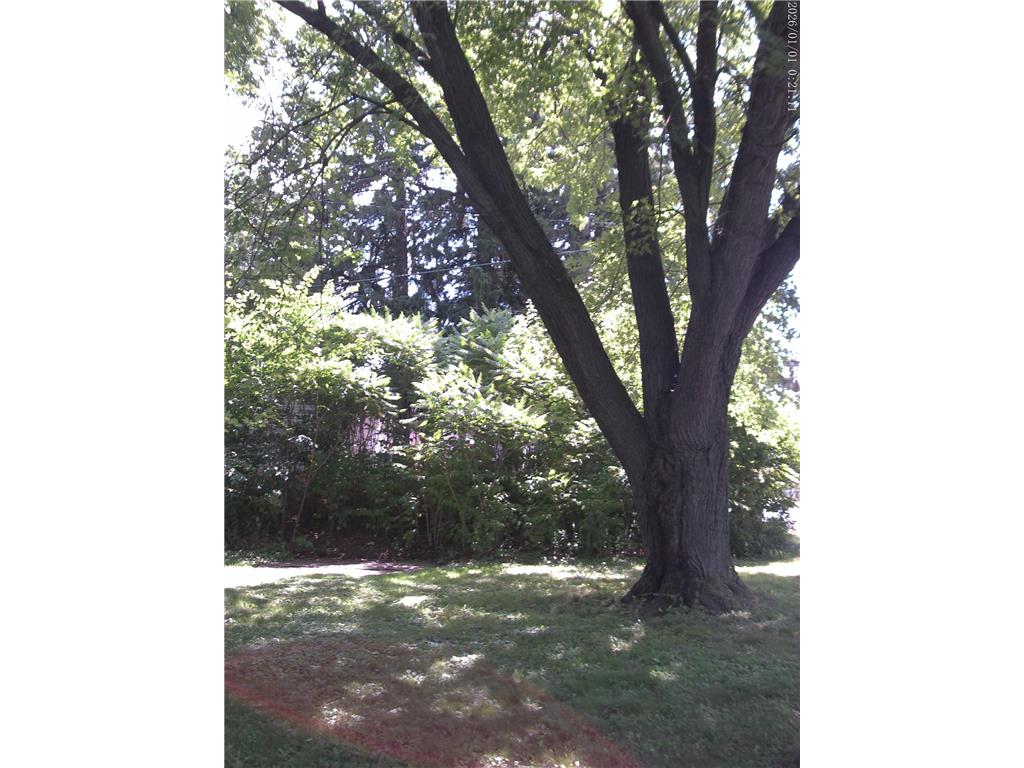 4479 Geneva Avenue N Oakdale MN 55128 7106560 image4