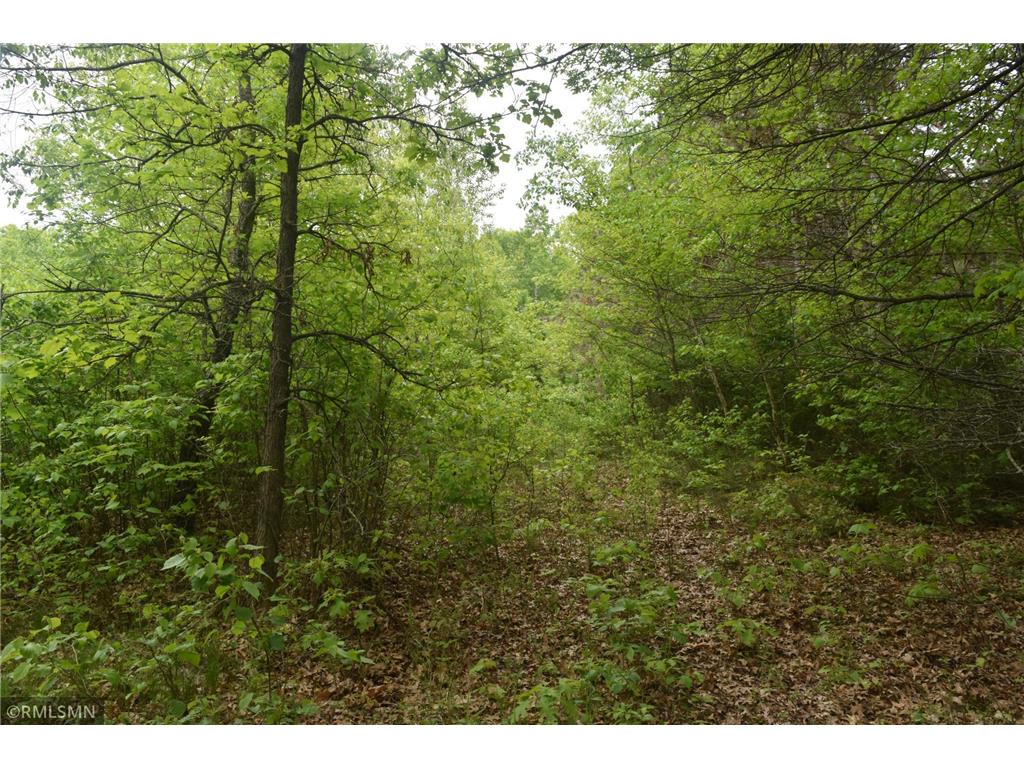 44863 State Highway 48 Arlone Twp MN 55037 6728691 image10