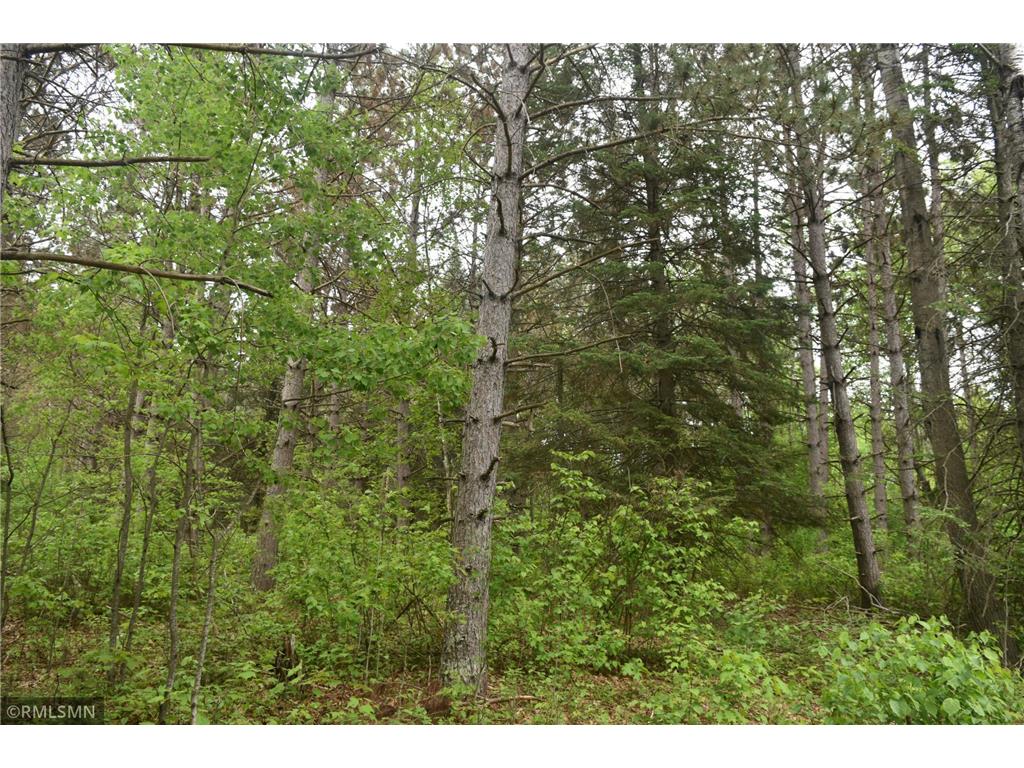 44863 State Highway 48 Arlone Twp MN 55037 6728691 image3