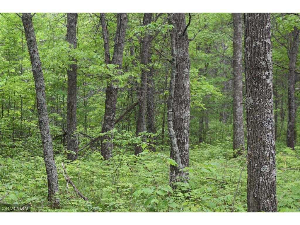 44863 State Highway 48 Arlone Twp MN 55037 6728691 image4