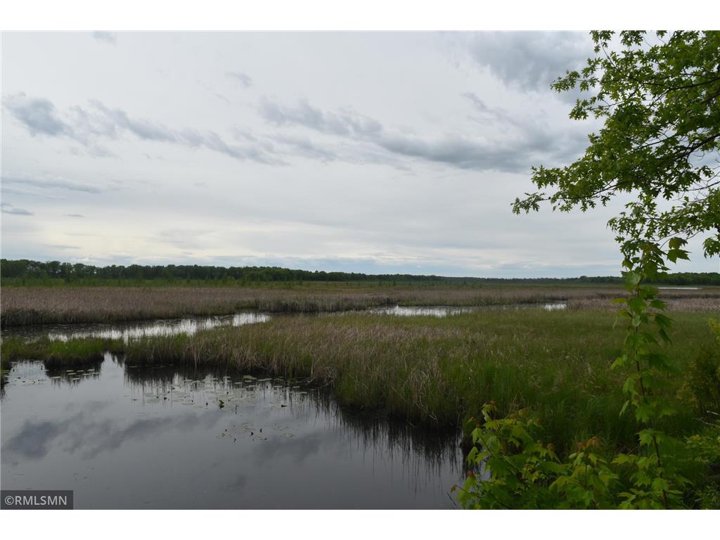 44863 State Highway 48 Arlone Twp MN 55037 6728691 image5