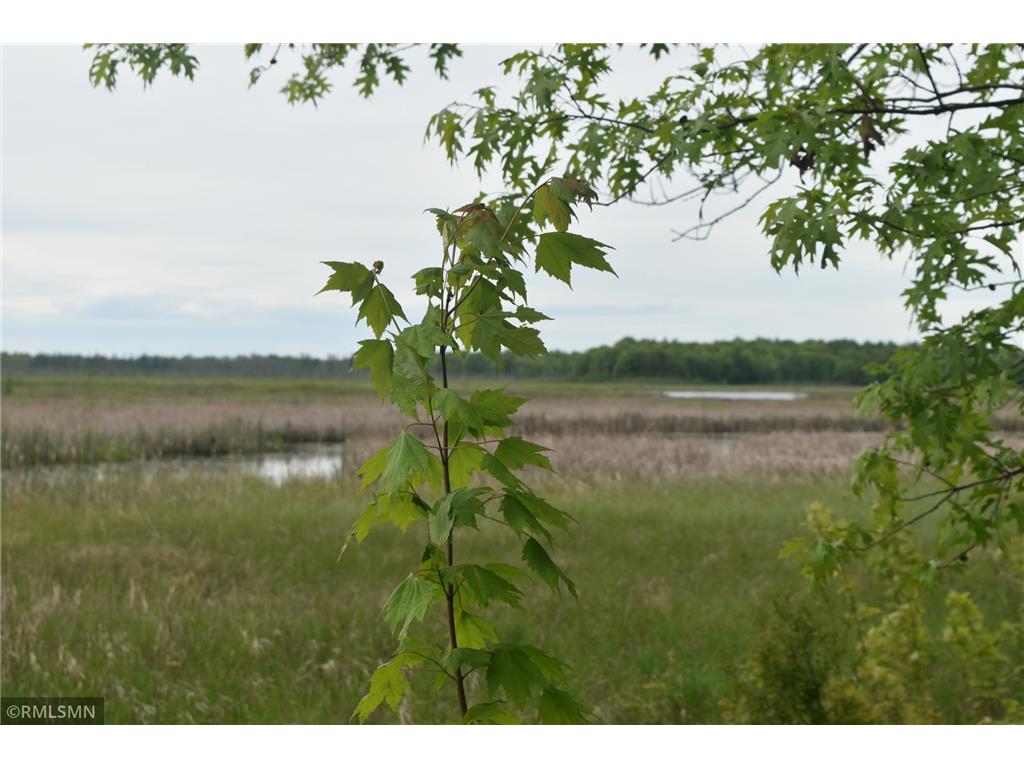 44863 State Highway 48 Arlone Twp MN 55037 6728691 image6