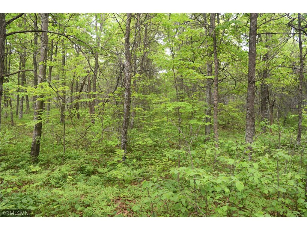 44863 State Highway 48 Arlone Twp MN 55037 6728691 image7