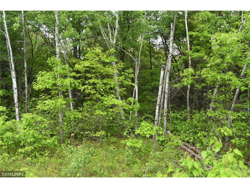 44863 State Highway 48 Arlone Twp MN 55037 6728691 image8