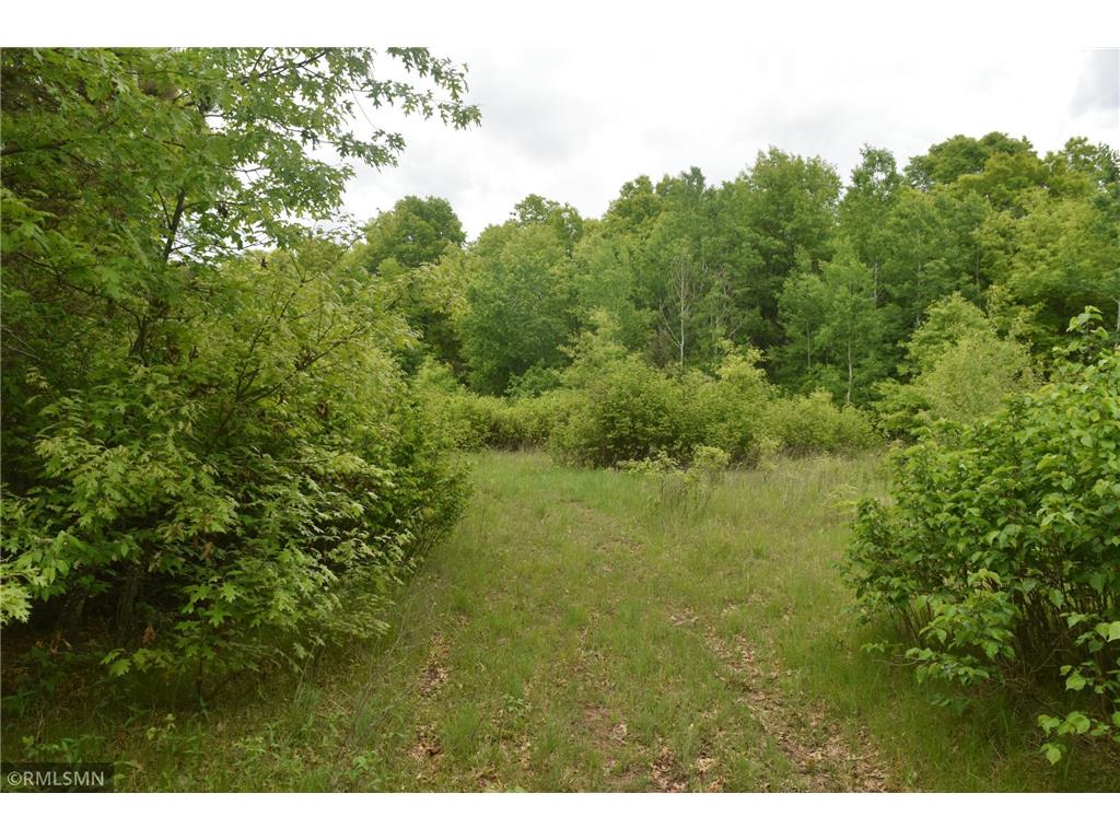 44863 State Highway 48 Arlone Twp MN 55037 6728691 image9