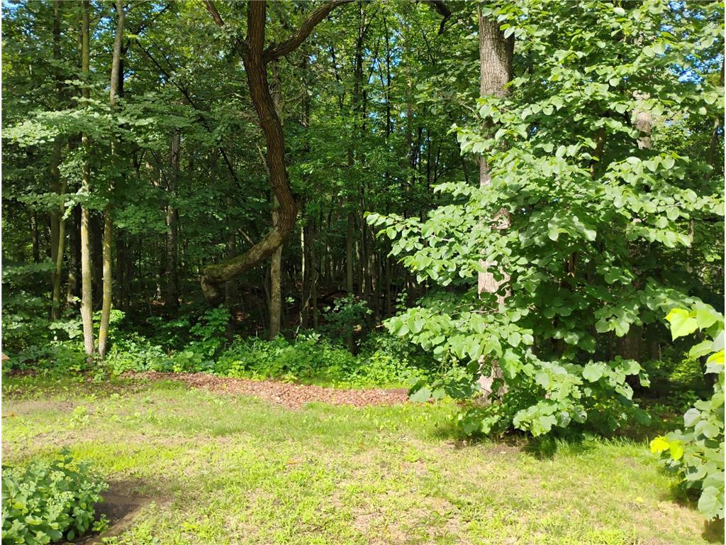 44888 County Highway 54 Rush Lake Twp MN 56571 6823577 image3