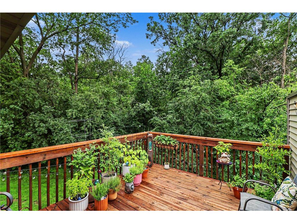 4490 Woodgate Point Eagan MN 55122 7093993 image19