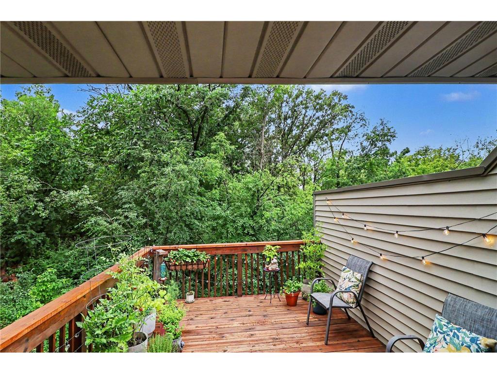 4490 Woodgate Point Eagan MN 55122 7093993 image20