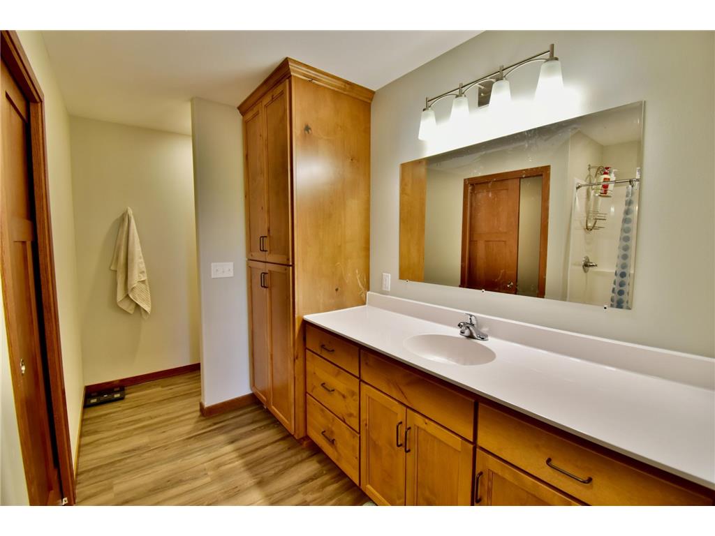 44911 N Sauk View Drive Sauk Centre MN 56378 7112390 image20